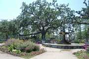 New Orleans 04-08-06 110